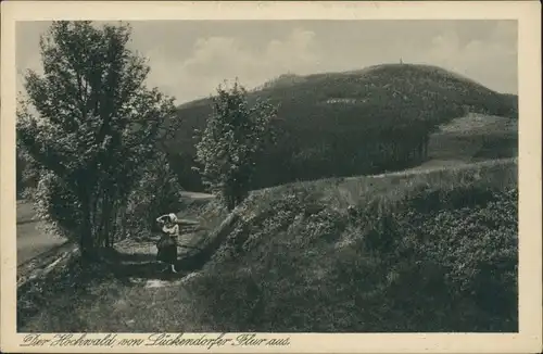 Ansichtskarte Oybin Hochwald vom Lückendorfer Flur aus 1922