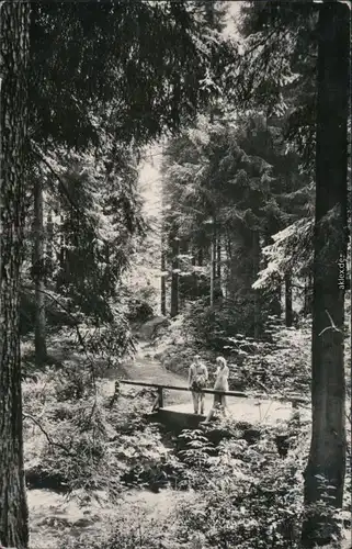 Ansichtskarte Hirschbach Vessertal 1960