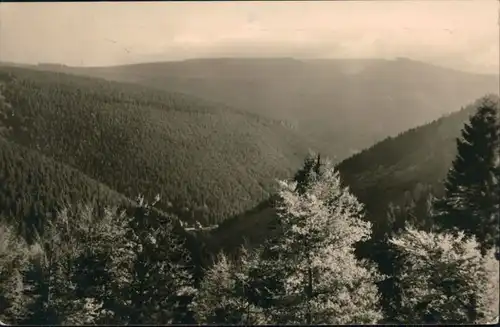 Ansichtskarte Sachsenbrunn Berge um den Saargrund 1957