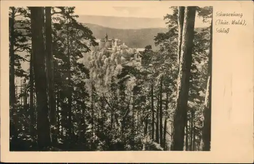 Ansichtskarte Schwarzburg Schloss Schwarzburg 1955