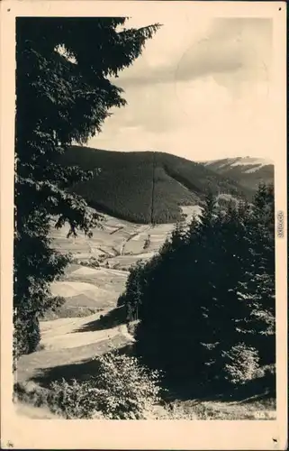 Ansichtskarte Schnett-Masserberg Simmersberg 1965