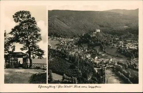 Ansichtskarte Schwarzburg Blick vom Trippstein auf die Stadt 1956