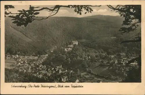 Ansichtskarte Schwarzburg Blick vom Trippstein auf die Stadt 1955