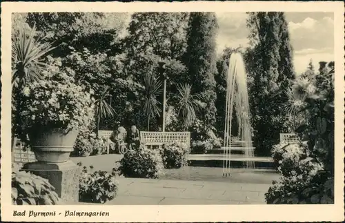 Ansichtskarte Bad Pyrmont Kurpark - Palmengarten 1955