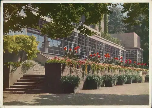 Frankfurt am Main Palmengarten - Gesellschaftshaus mit Terrassen 1952