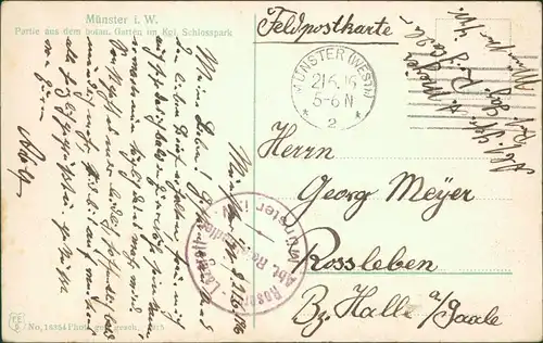 Münster (Westfalen) Partie aus dem botanischen Garten im Kgl. Schlosspark 1916