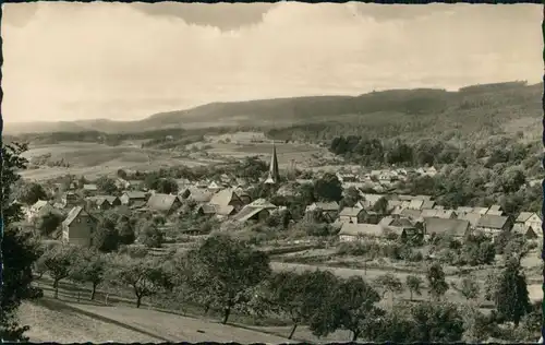 Ansichtskarte Neustadt (Harz) Blick auf den Ort 1960