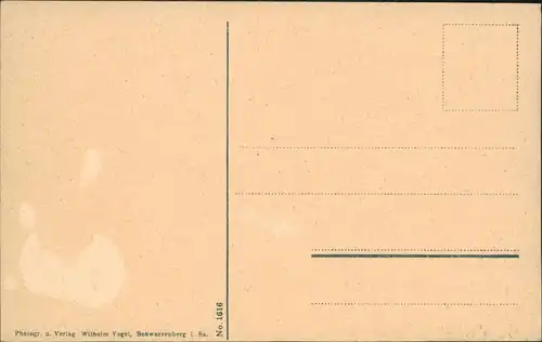 Ansichtskarte Schwarzenberg (Erzgebirge) Blick auf den Ort 1914