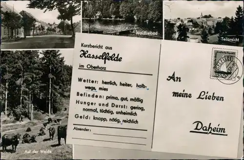 Ansichtskarte Hasselfelde Waldfreibad, Teilansicht, auf der Weide 1957