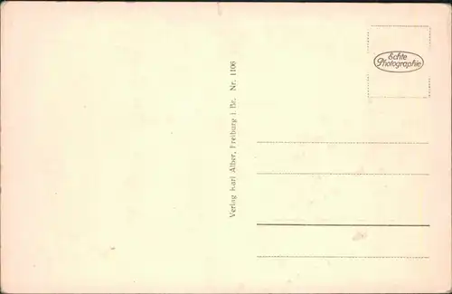 Ansichtskarte Lindau (Bodensee) Panorama-Ansicht mit Insel und Bergmassiv 1933