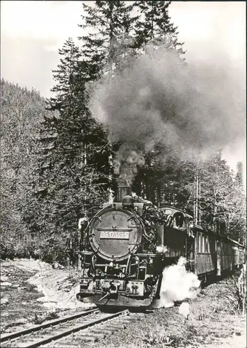 Kipsdorf-Altenberg (Erzgebirge) Schmalspurbahn Freital-Hainsberg Kipsdorf c1983