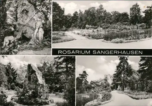 Ansichtskarte Sangerhausen Rosarium 1974