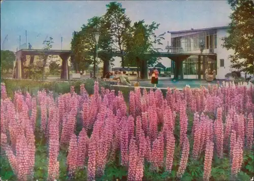 Ansichtskarte Erfurt Gelände der Internationale Gartenbauausstellung 1968