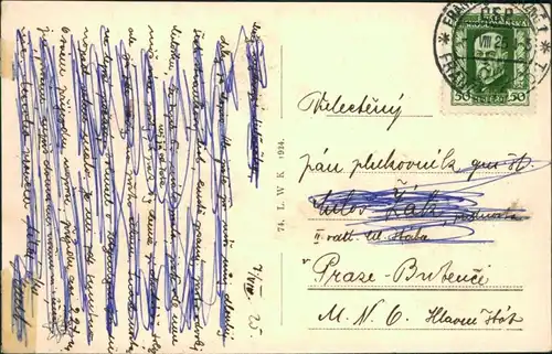 Postcard Franzensbad Františkovy Lázně Procházkové podloubí 1924