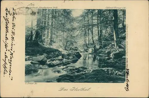 Ansichtskarte Ilsenburg (Harz) Ilsethal - Bach 1922