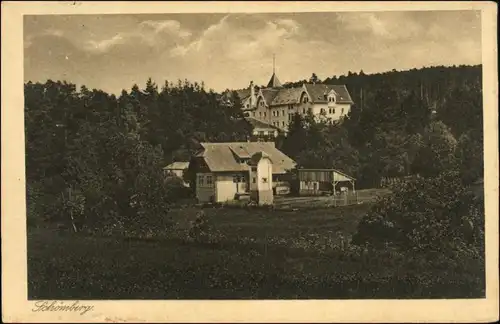 Ansichtskarte Schömberg (Schwarzwald) Blick auf die Heilanstalt 1914 