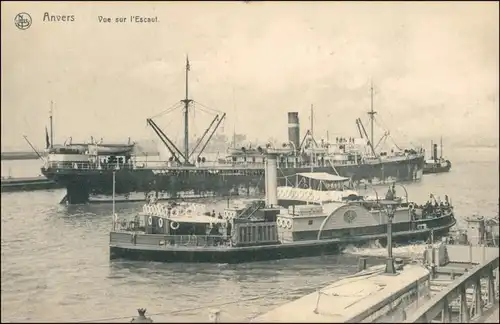 Postkaart Antwerpen Anvers Dampfer und Schauffelraddampfer im Hafen 1905 