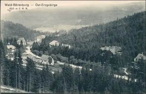 Ansichtskarte Waldbärenburg-Altenberg (Erzgebirge) Blick auf die Stadt 1916 