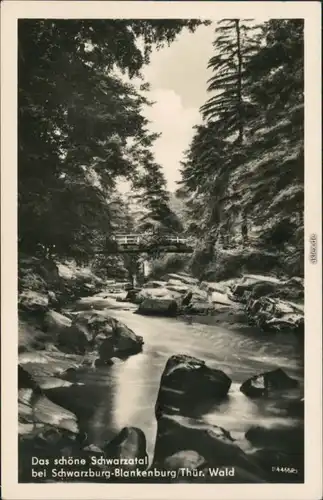 Ansichtskarte Schwarzburg Schwarzatal - Fluss mit Brücke 1956