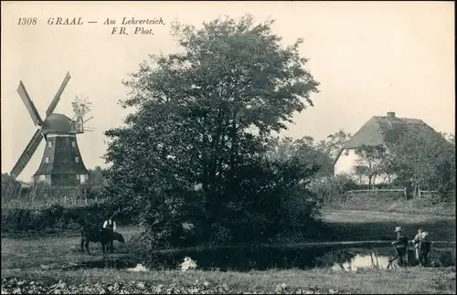 Ansichtskarte Graal-Müritz Lehrerteich - Windmühle 1916 