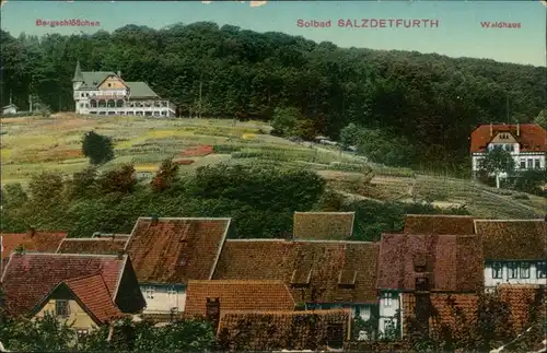 Ansichtskarte Bad Salzdetfurth Stadt, Waldschlößchen und Waldhaus 1913 