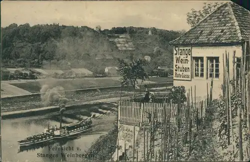 Ansichtskarte Spaar-Meißen Stanges Weinstuben - Dampfer 1918 