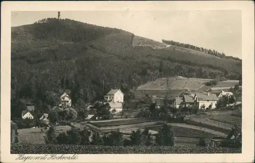 Ansichtskarte Hayn Ortsansicht mit Hochwald 1929