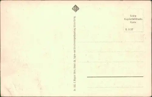 Ansichtskarte Hayn Ortsansicht mit Hochwald 1929