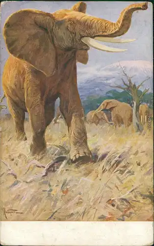 Ansichtskarte  Künstlerkarte: Elefant 1918