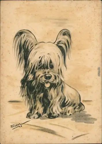 Ansichtskarte  Künstlerkarte v. Fieber - Hund 1930