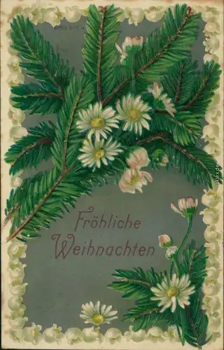 Weihnachten - Tannenzweige mit Gänseblümchen 1908 Prägekarte