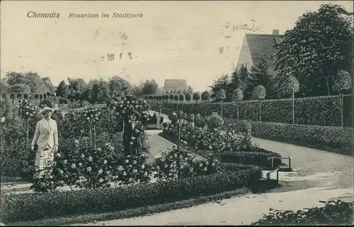 Ansichtskarte Chemnitz Rosarium im Stadtpark 1918