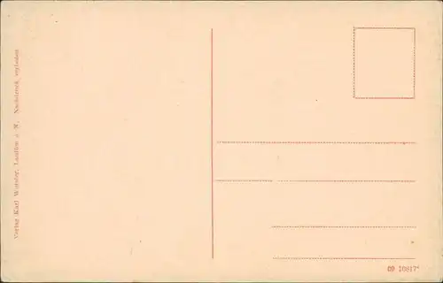 Ansichtskarte Lauffen Neckarpartie und Stadt 1913 