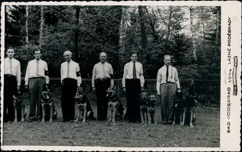 Bad Podiebrad Poděbrady Privatfoto Ak Männer Hunden Schulung Aufstellung 1944