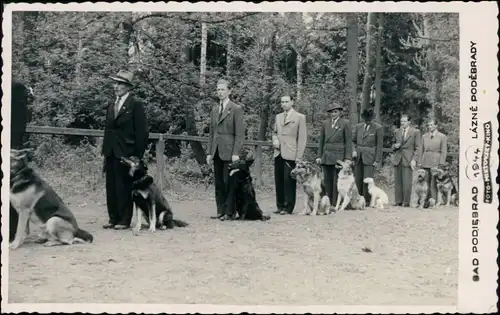 Bad Podiebrad Poděbrady Privatfoto Ak Männer mit Hunden - Schulung 1944 
