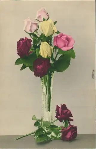 Ansichtskarte  Rosen in Vase Naturbild Naturbild Künstlerkarte   1909