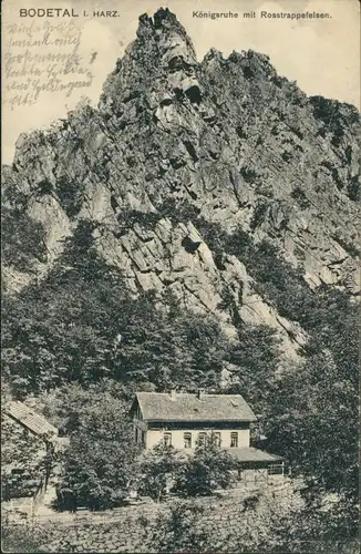 Ansichtskarte Thale (Harz) Königsruhe mit Roßtrappfelsen 1913