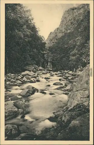 Ansichtskarte Thale (Harz) Teufelsbrücke im Bodetal 1918