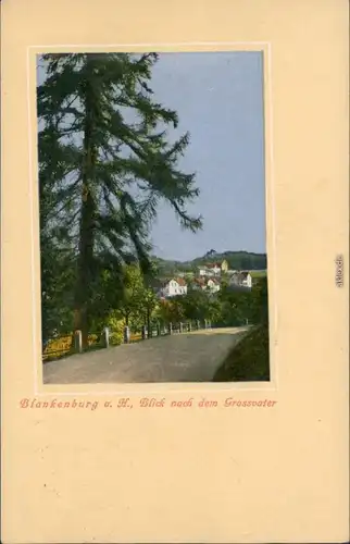 Ansichtskarte Blankenburg (Harz) Straßenpartie an der Stadt 1916 