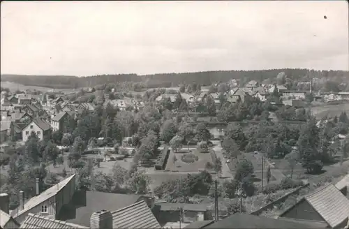 Ansichtskarte Benneckenstein Blick auf den Ort 1961