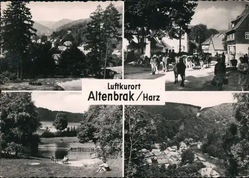 Ansichtskarte Altenbrak Teilansicht, Rinder im Dorf, See, Dorf mit Fluss 1964