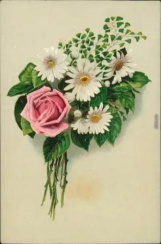 Ansichtskarte  Blumen - Rose mit Margarithen 1912