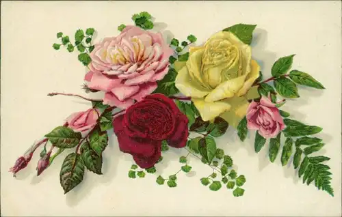 Ansichtskarte  Rosen - mehrfarbig - Naturfarben Realismus 1916 