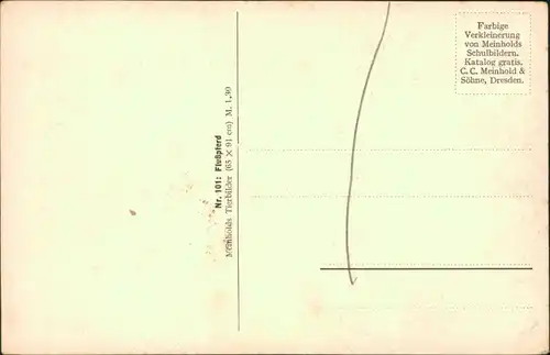 Ansichtskarte  Meinholds Tierbilder - Nilpferde 1925 