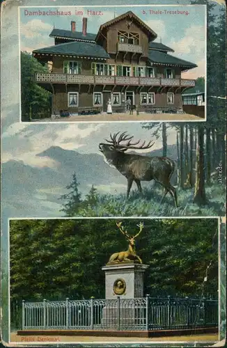Ansichtskarte Thale (Harz) Försterei Dambachhaus, Gedicht 1913
