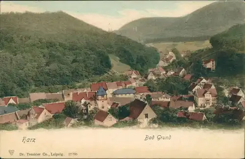 Ansichtskarte Bad Grund (Harz) Blick auf den Ort 1908