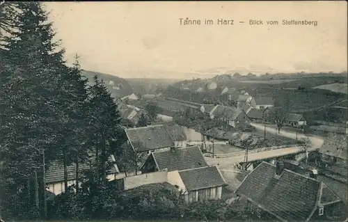 Ansichtskarte Tanne (Harz) Blick vom Steffensberg auf den Ort 1919