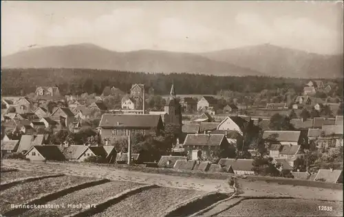 Ansichtskarte Benneckenstein Blick auf den Ort 1930