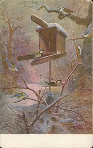  Künstlerkarte: Blaumeisen im Winter auf Zweigen und Vogelhaus 1926