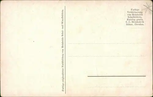 Ansichtskarte  Künstlerkarte v. KWA - Gazellen 1909